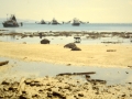Portland Roads prawn trawlers