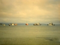 Portland Roads prawn trawlers