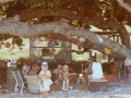 Ball Tree Beach Camp